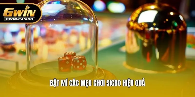Bật mí các mẹo chơi Sicbo hiệu quả
